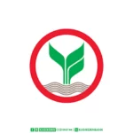 0c0ff5_0b8a1353835d46afb7b4bd30080fcd9e~mv2